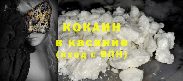 прущие грибы Богданович