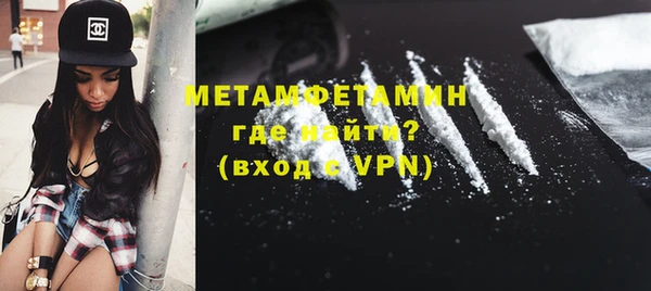 прущие грибы Богданович
