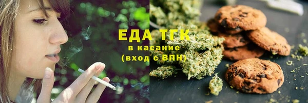 индика Богородск