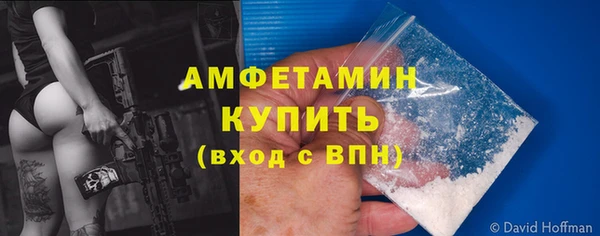 индика Богородск
