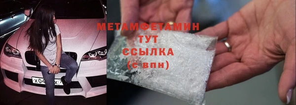прущие грибы Богданович