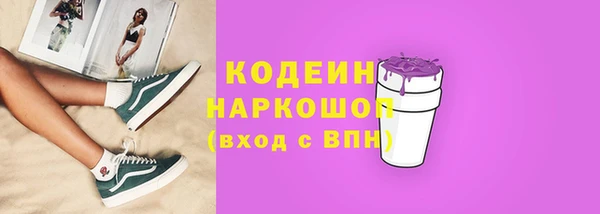 индика Богородск