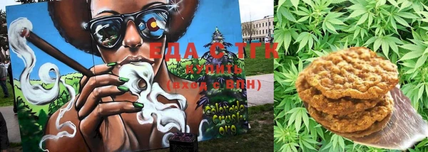 индика Богородск
