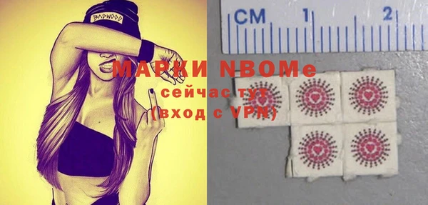 индика Богородск
