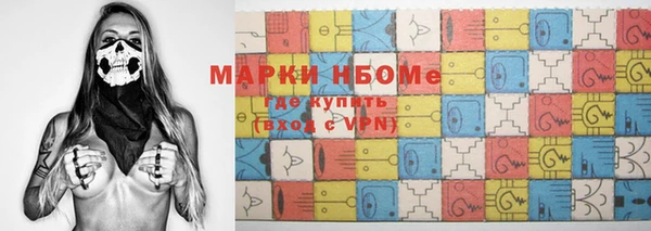 индика Богородск