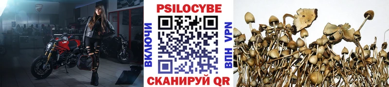 цены   Когалым  МЕГА рабочий сайт  darknet состав  Псилоцибиновые грибы MAGIC MUSHROOMS 